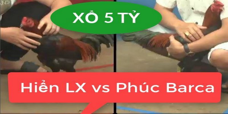 Tổng Hợp Những Trận Đá Gà Siêu Kinh Điển Không Nên Bỏ Lỡ 5 Những Trận Đá Gà Siêu Kinh Điển